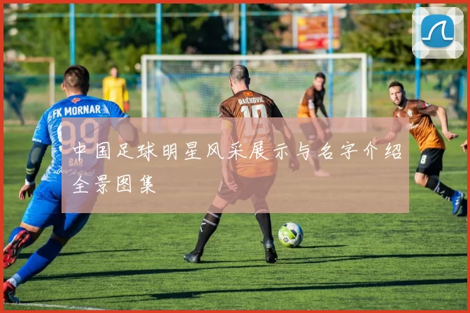 中国足球明星风采展示与名字介绍全景图集