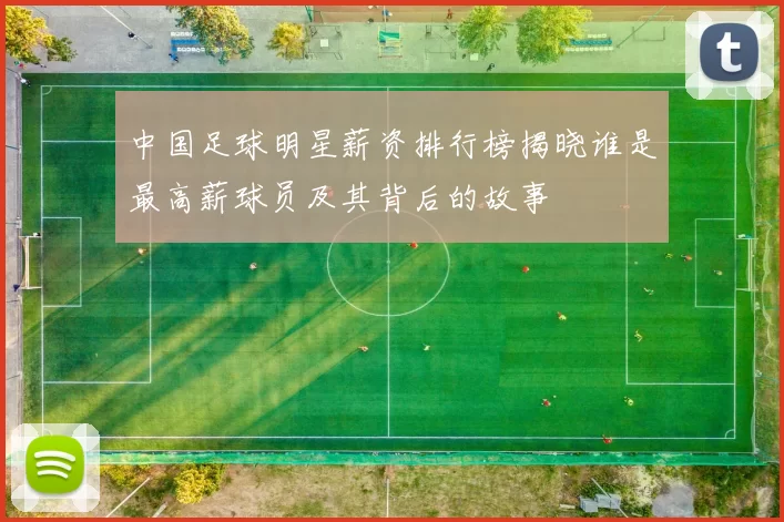 中国足球明星薪资排行榜揭晓谁是最高薪球员及其背后的故事