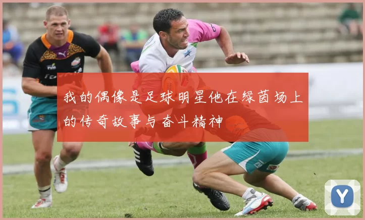 我的偶像是足球明星他在绿茵场上的传奇故事与奋斗精神