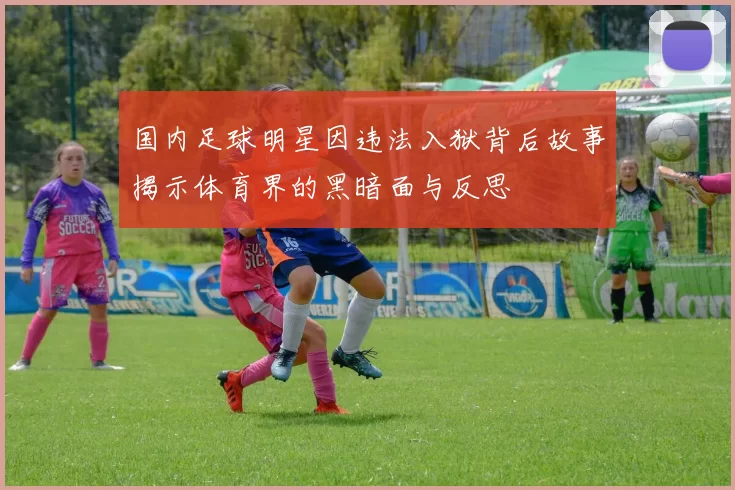 国内足球明星因违法入狱背后故事揭示体育界的黑暗面与反思