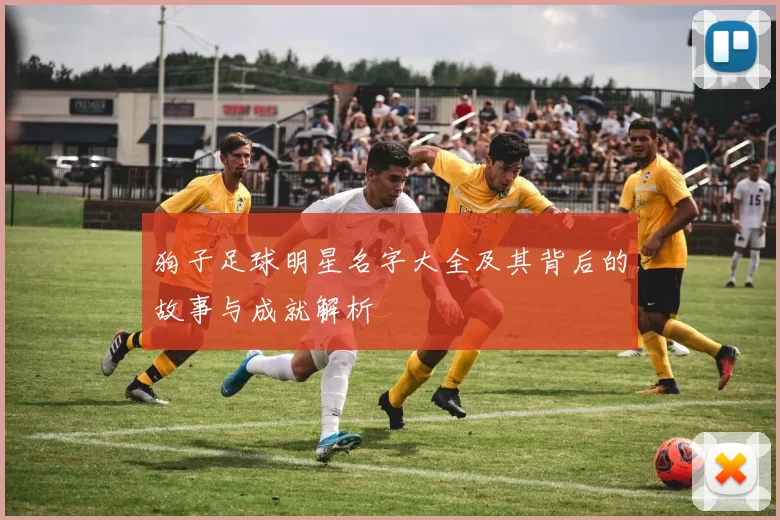 狗子足球明星名字大全及其背后的故事与成就解析