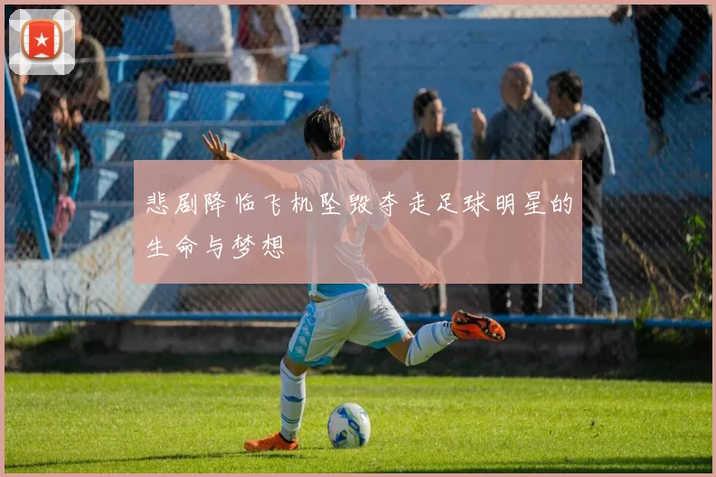 悲剧降临飞机坠毁夺走足球明星的生命与梦想