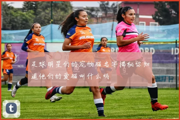 足球明星们的宠物猫名字揭秘你知道他们的爱猫叫什么吗
