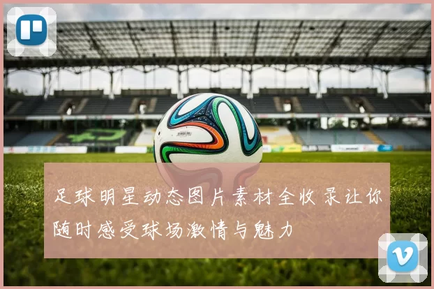 足球明星动态图片素材全收录让你随时感受球场激情与魅力
