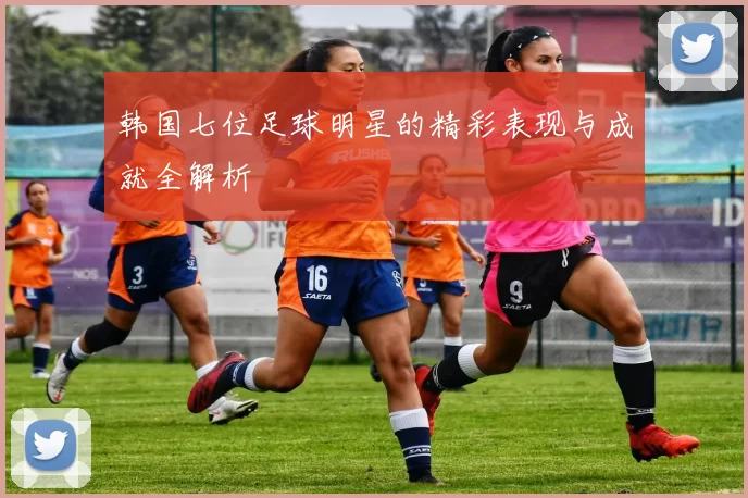 韩国七位足球明星的精彩表现与成就全解析
