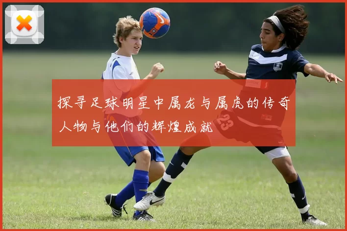 探寻足球明星中属龙与属虎的传奇人物与他们的辉煌成就