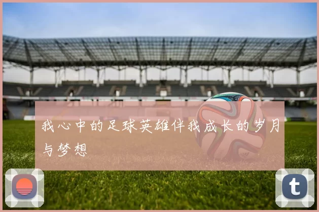 我心中的足球英雄伴我成长的岁月与梦想